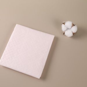 Economical Kind Factory Customized 60x60cm Puppy Pet Dogs Pee Pads Disposable Training Pad