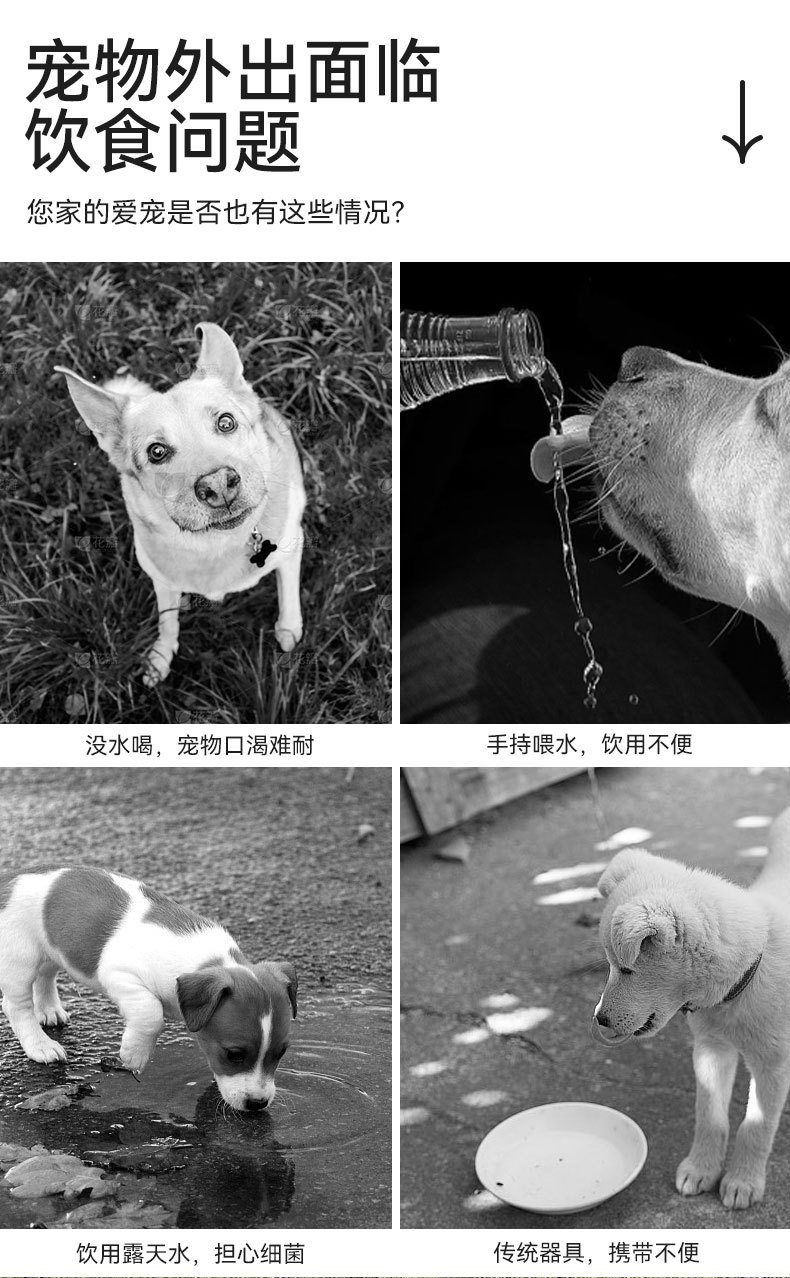 Portable outdoor dog water cup drinking bottle spill-proof waterer for pets and cats